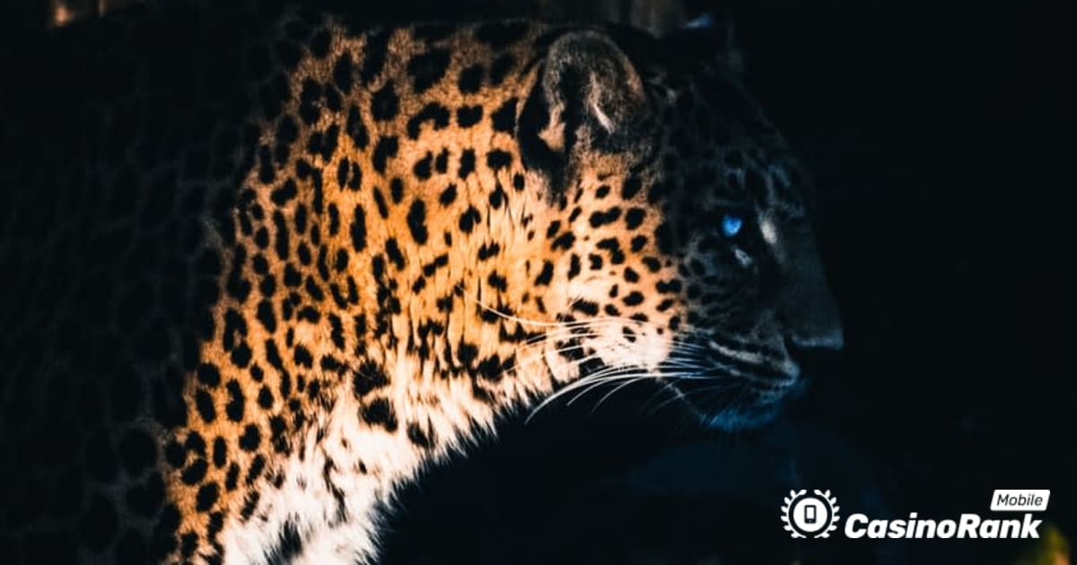 Yggdrasil Партнери ReelPlay випустять Jaguar SuperWays від Bad Dingo